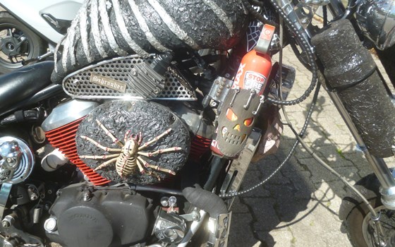 Gebrauchtmotorrad Honda VT 750 - Bild 2