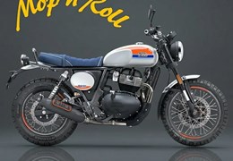 Neumotorrad Royal Enfield Bear 650