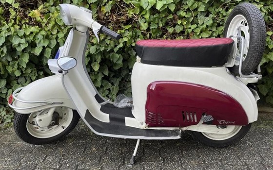 Gebrauchtmotorrad Garelli Capri - Bild 4