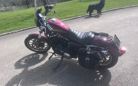 Gebrauchtmotorrad Harley-Davidson Sportster XL 883 R Roadster - Bild 3