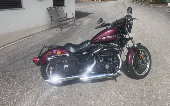 Gebrauchtmotorrad Harley-Davidson Sportster XL 883 R Roadster - Bild 6