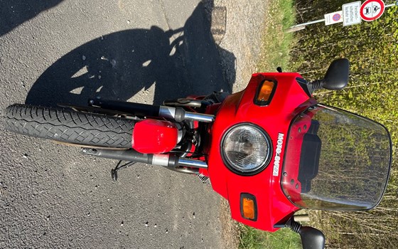 Gebrauchtmotorrad Moto Guzzi 1000SP 1 - Bild 5