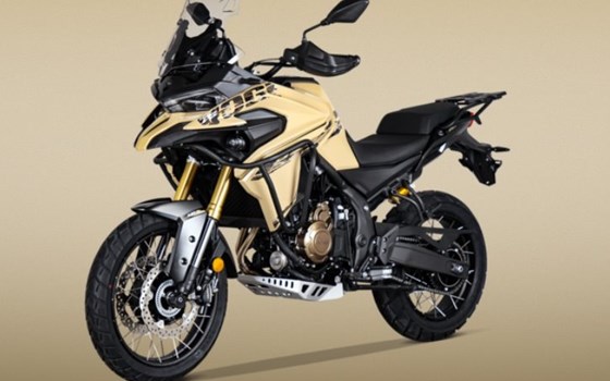 Neufahrzeug Voge 650DSX - Bild 5