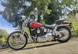 Occasion Harley-Davidson Softail Springer FXSTS