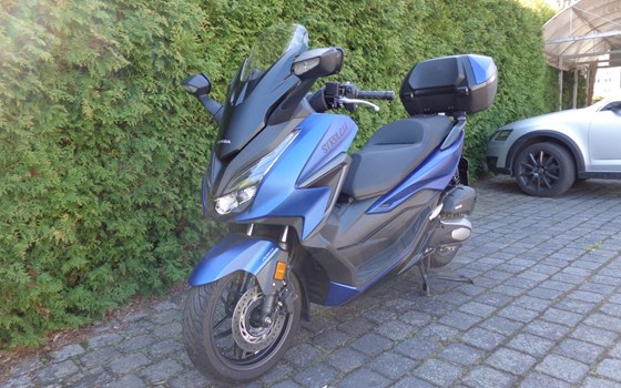 Gebrauchtmotorrad Honda Forza 125 - Bild 1