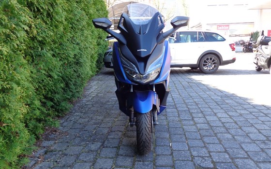 Gebrauchtmotorrad Honda Forza 125 - Bild 2