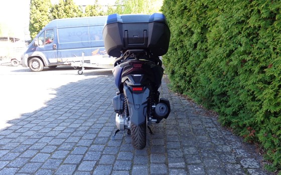 Gebrauchtmotorrad Honda Forza 125 - Bild 5