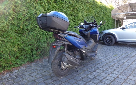 Gebrauchtmotorrad Honda Forza 125 - Bild 6