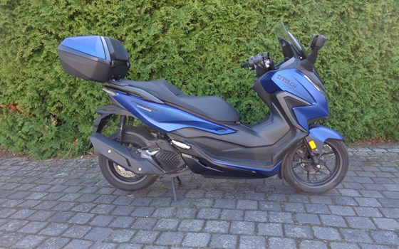Gebrauchtmotorrad Honda Forza 125 - Bild 8