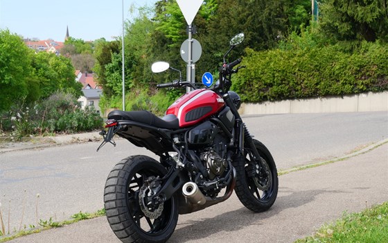 Gebrauchtmotorrad Yamaha XSR700 - Bild 5