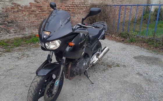 Gebrauchtmotorrad Yamaha TDM 900 - Bild 2