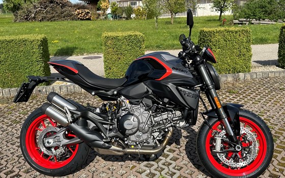 Neufahrzeug Ducati Monster + - Bild 1