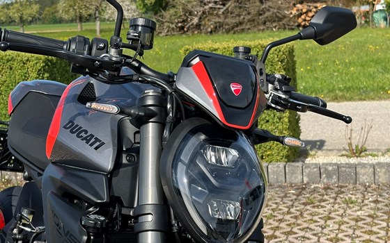 Neufahrzeug Ducati Monster + - Bild 4