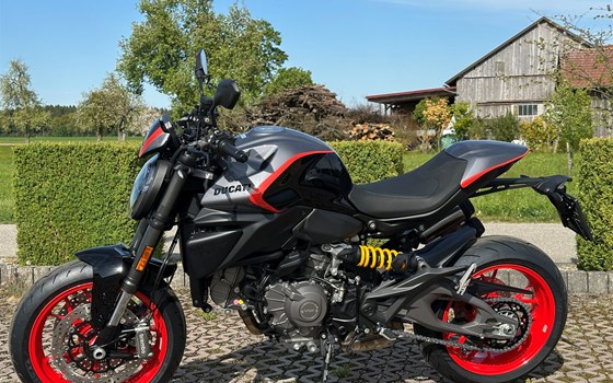 Neufahrzeug Ducati Monster + - Bild 2