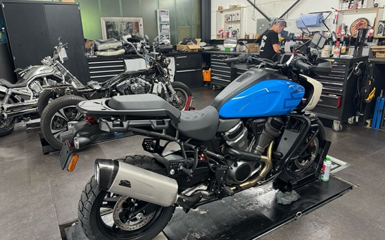 Gebrauchtmotorrad Harley-Davidson Pan America 1250 Special - Bild 5