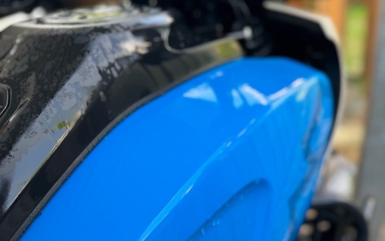 Gebrauchtmotorrad Harley-Davidson Pan America 1250 Special - Bild 6