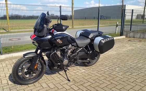 Gebrauchtmotorrad Harley-Davidson Pan America 1250 - Bild 3