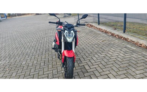 Gebrauchtmotorrad Voge 500R - Bild 3