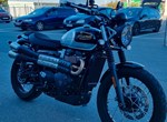 Angebot Triumph Scrambler 900 Icon Edition