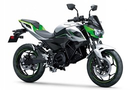 Neumotorrad Kawasaki Z 1