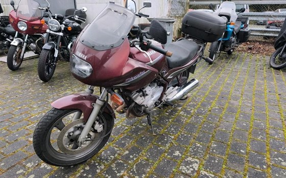 Neufahrzeug Yamaha XJ 600 S Diversion - Bild 2