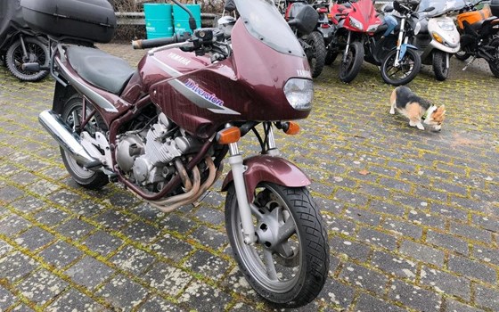 Neufahrzeug Yamaha XJ 600 S Diversion - Bild 3