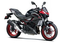 Neumotorrad Kawasaki Z900 SE