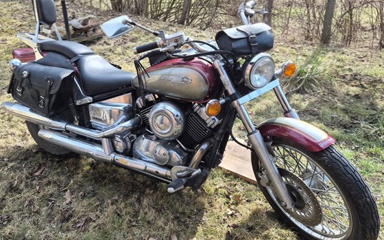 Gebrauchtmotorrad Yamaha XVS 650 Drag Star - Bild 1