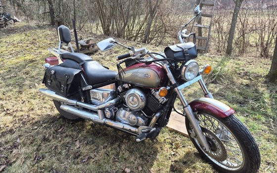 Gebrauchtmotorrad Yamaha XVS 650 Drag Star - Bild 8