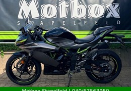 Neumotorrad Kawasaki Ninja 125