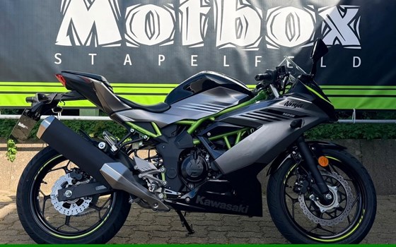 Neufahrzeug Kawasaki Ninja 125 - Bild 2