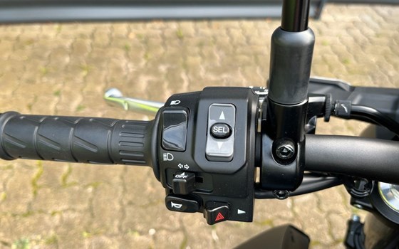 Neufahrzeug Kawasaki Z650 S - Bild 13