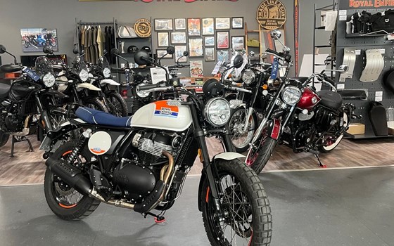 Neufahrzeug Royal Enfield Bear 650 - Bild 3