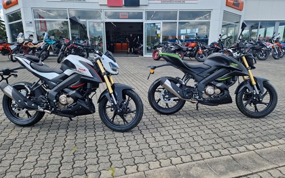 Neufahrzeug QJ Motor SRK 125 S - Bild 1