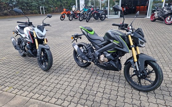Neufahrzeug QJ Motor SRK 125 S - Bild 2