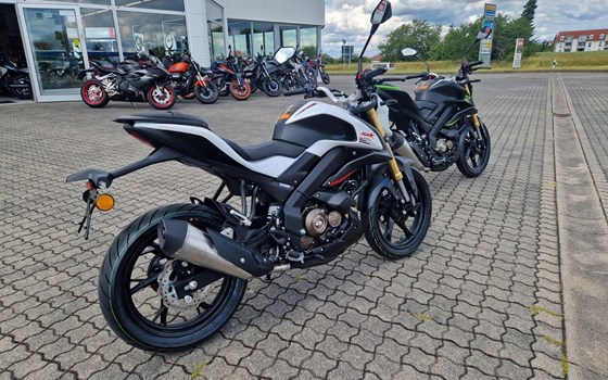 Neufahrzeug QJ Motor SRK 125 S - Bild 3