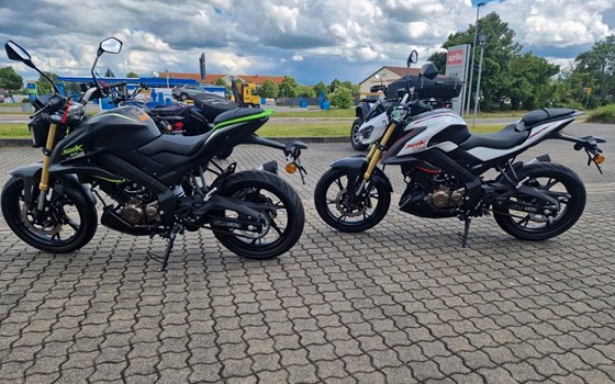 Neufahrzeug QJ Motor SRK 125 S - Bild 4
