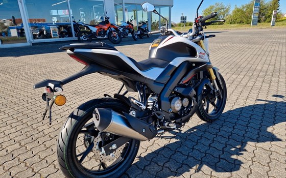 Neufahrzeug QJ Motor SRK 125 S - Bild 7