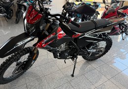 Neumotorrad QJ Motor COV 125X