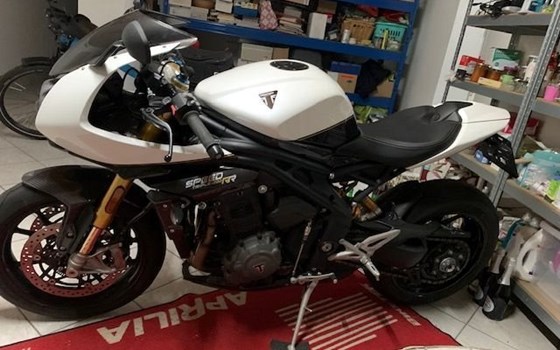Gebrauchtmotorrad Triumph Speed Triple 1200 RR - Bild 1