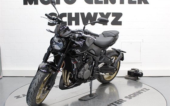Neufahrzeug Triumph Trident 800 - Bild 3