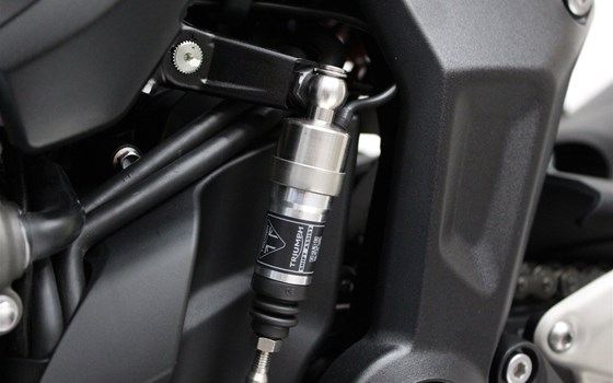 Neufahrzeug Triumph Trident 800 - Bild 6