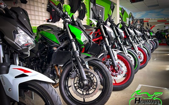 Neufahrzeug QJ Motor SRK 125 S - Bild 12