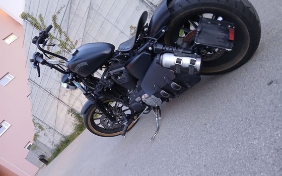 Gebrauchtmotorrad Harley-Davidson Sportster XL 883 N Iron - Bild 3