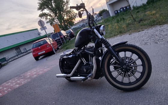Gebrauchtmotorrad Harley-Davidson Sportster XL 883 N Iron - Bild 7