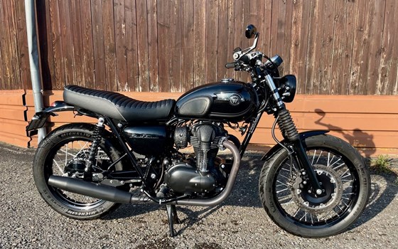 Motorrad Occasion Kawasaki W800 - Bild 1