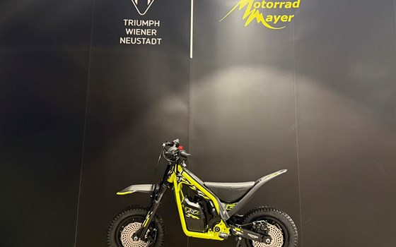 Neufahrzeug Triumph TXP-12 - Bild 2