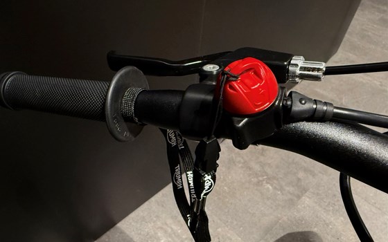 Neufahrzeug Triumph TXP-12 - Bild 7
