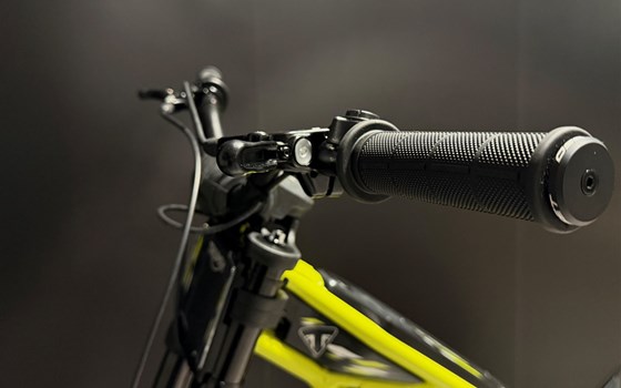 Neufahrzeug Triumph TXP-24 - Bild 5