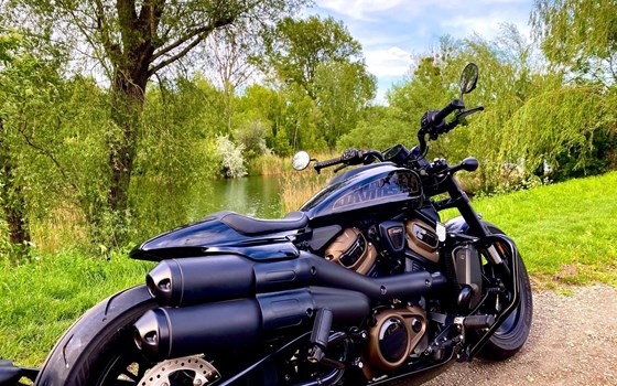 Gebrauchtmotorrad Harley-Davidson Sportster S RH1250S - Bild 2